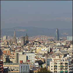 IMG_3775.JPG