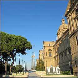 IMG_3832.JPG