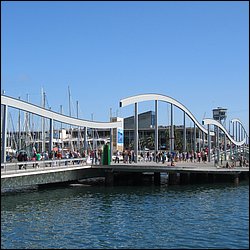 IMG_3994.JPG