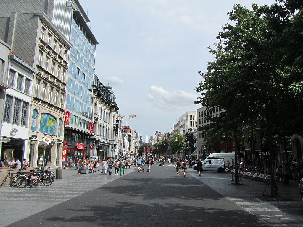 IMG_1206.JPG