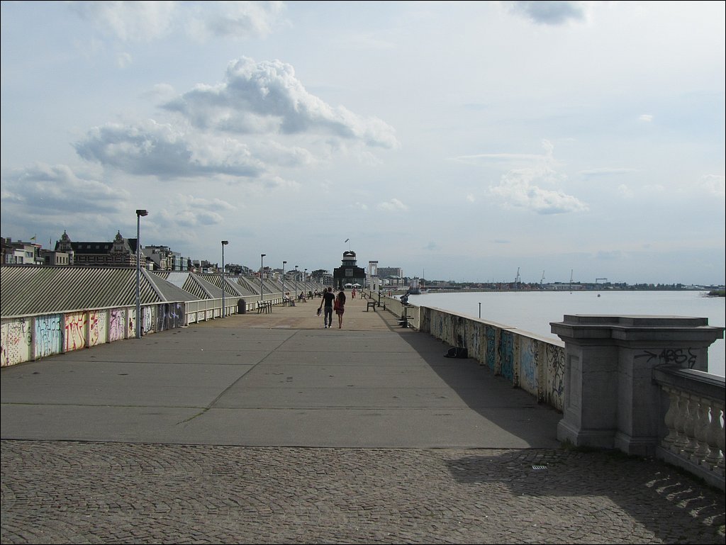 IMG_1265.JPG