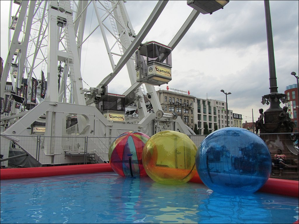 IMG_1287.JPG