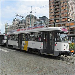 IMG_1166.JPG