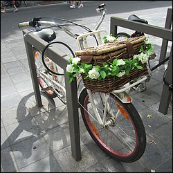 IMG_1188.JPG