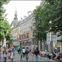 IMG_1193.JPG