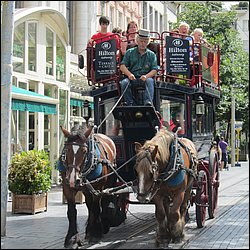 IMG_1214.JPG