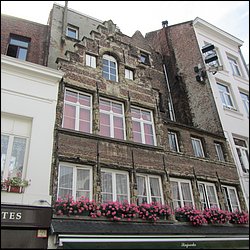 IMG_1231.JPG