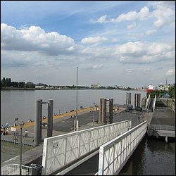 IMG_1264.JPG