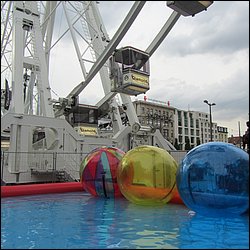 IMG_1287.JPG