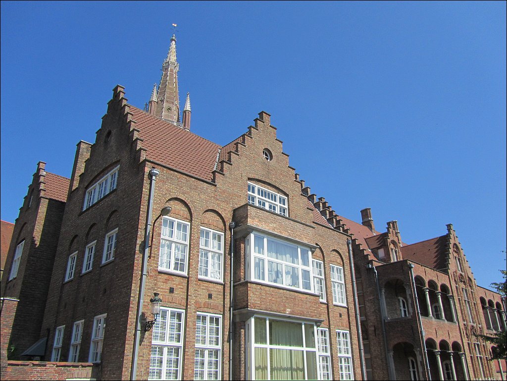 IMG_1000.JPG