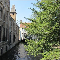 IMG_1017.JPG