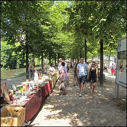 IMG_1026.JPG