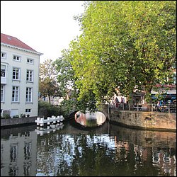 IMG_1131.JPG