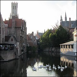 IMG_1134.JPG
