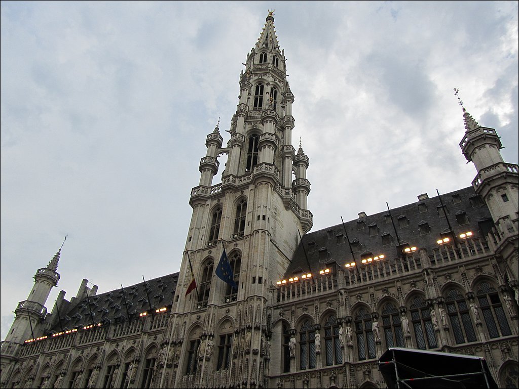 IMG_1461.JPG