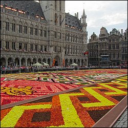 IMG_1449.JPG