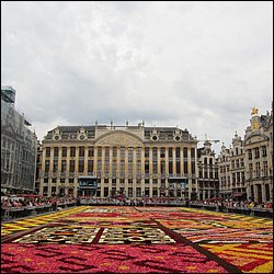 IMG_1460.JPG