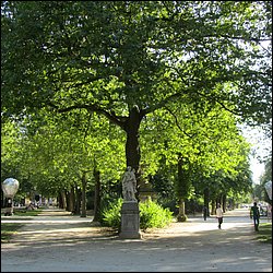 IMG_1899.JPG