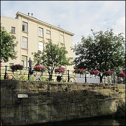 IMG_1643.JPG