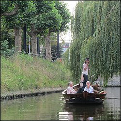 IMG_1667.JPG