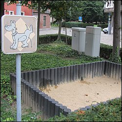 IMG_1732.JPG