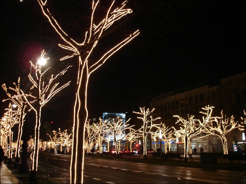DSC06938.JPG