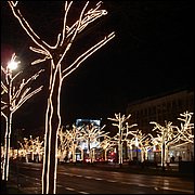 DSC06938.JPG
