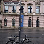 DSC07053.JPG