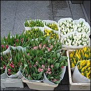 DSC07387.JPG