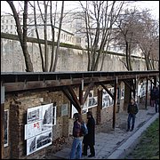 DSC07402.JPG