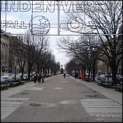 DSC07425.JPG