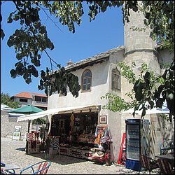 IMG_9169.JPG