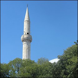 IMG_9202.JPG