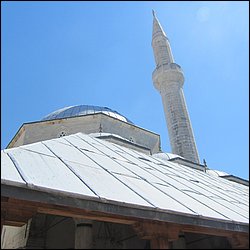 IMG_9205.JPG