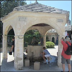 IMG_9206.JPG