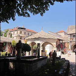 IMG_9211.JPG