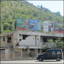 IMG_9233.JPG