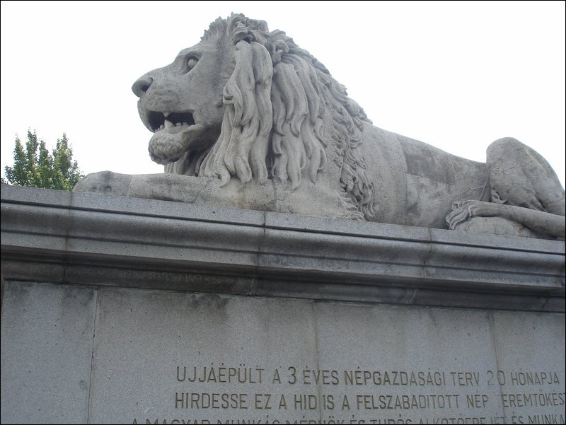 DSC08708.JPG
