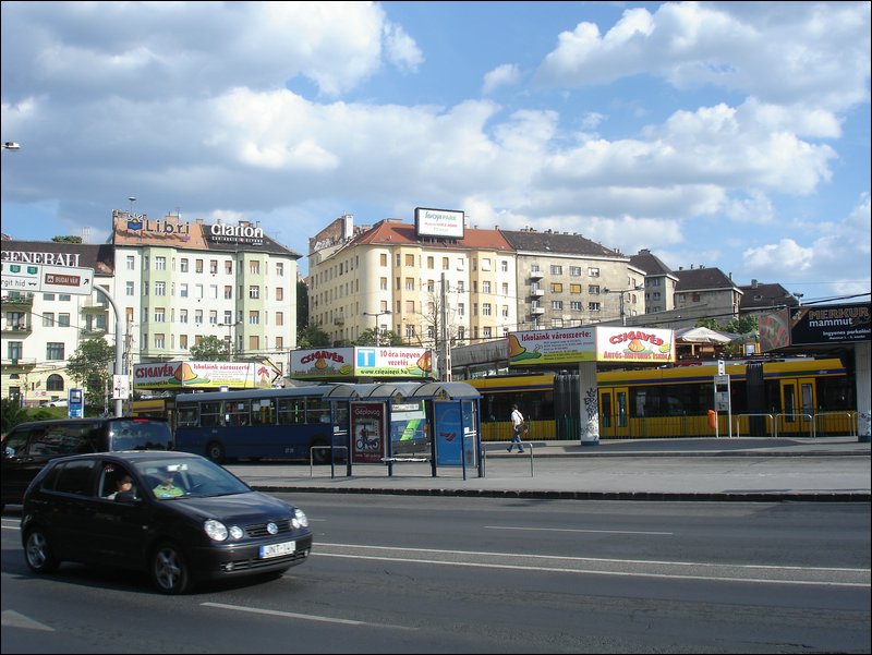 DSC09006.JPG