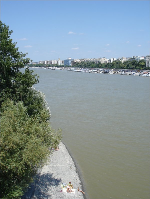 DSC09160.JPG