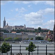 DSC08638.JPG