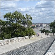 DSC08755.JPG