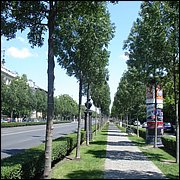 DSC08860.JPG