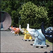 DSC08902.JPG