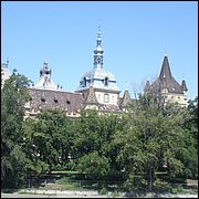 DSC08919.JPG