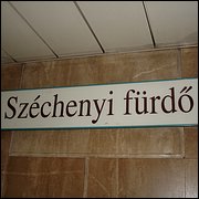 DSC08940.JPG