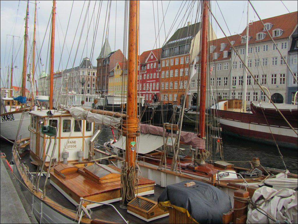 IMG_3380.JPG