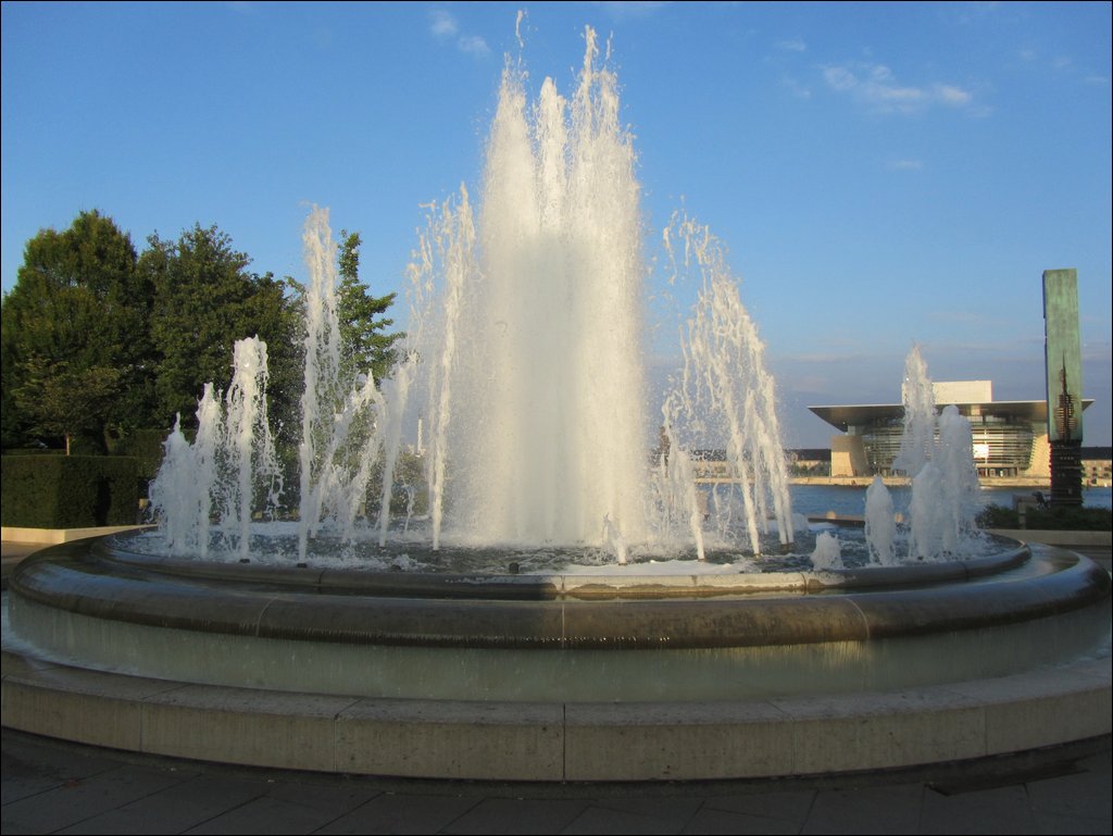 IMG_3434.JPG