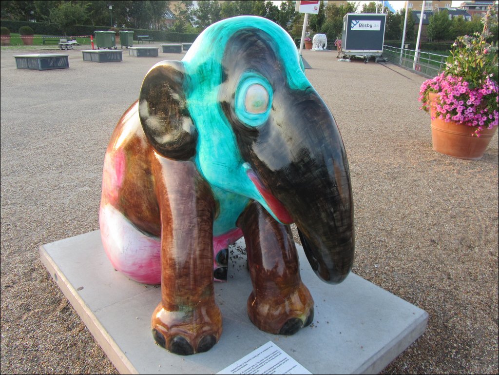 IMG_3480.JPG