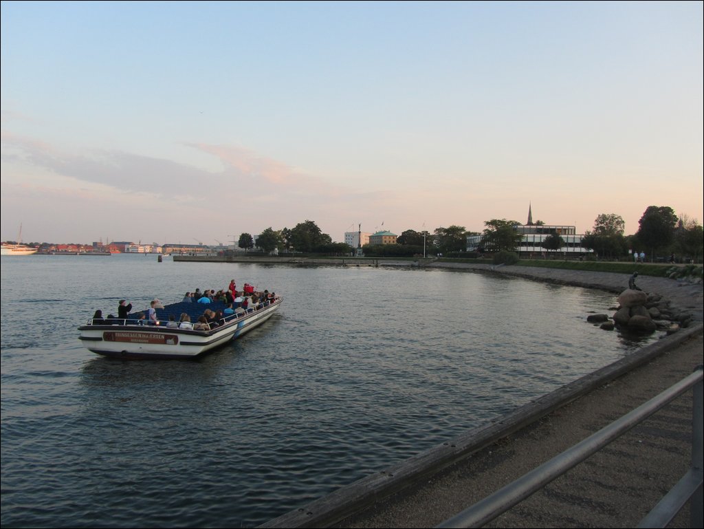 IMG_3509.JPG